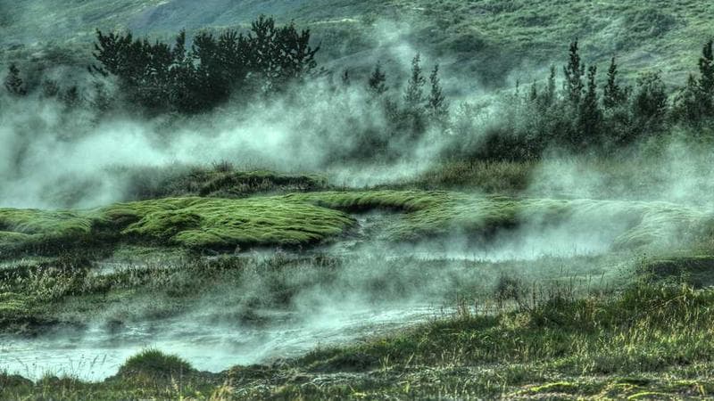 Peluncuran Website PPID Kecamatan Sambas